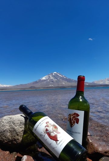 Imagen de WhatsApp 2025-06-05 a las 21.01.48_0cc5da49